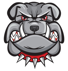 Angry bulldog head vector image