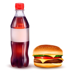Hamburger and cola vector image