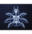 Bug vector image
