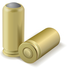 Pair bullets vector image