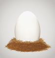 Egg in the nest vector image