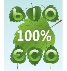 Bio and eco labels vector image