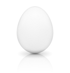 White Egg vector image