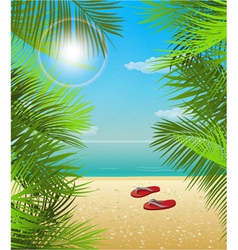 Summer background vector image