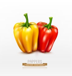 Two peppers red and yellow isolated vector image