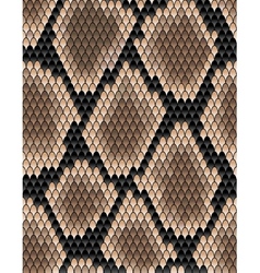 Seamless pattern of snake skin vector image