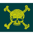Skull vector image