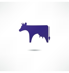 Cow vector image