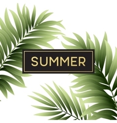 Tropical palm leaves design for text card vector image