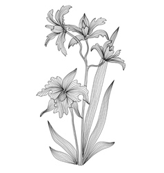 Decorative orchid vector image