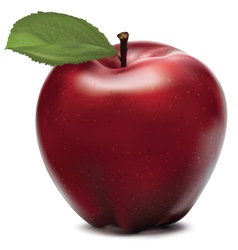 Apple vector image