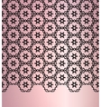 Abstract lace background vector image