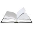 Open book vector image