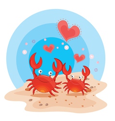 Crabs on beach vector image