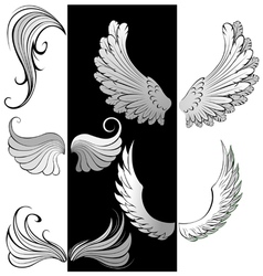 Artistically contoured wings vector image