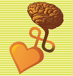 Connection between heart and brain vector image