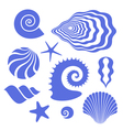Shell vector image