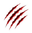 Claw scratches vector image