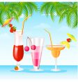 Cocktails vector image