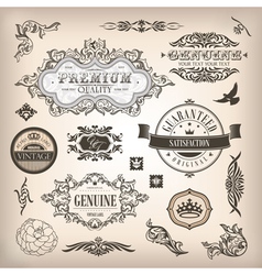 Set of design elements vector image