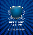 Vintage heraldry emblem7 vector image