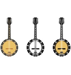 Set From A Musical Instrument Banjo vector image