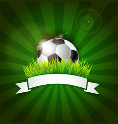 Soccer ball in grass with banner vector image