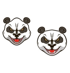 Angry panda bear vector image