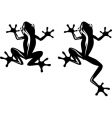 Frog vector image