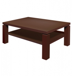 Living room table vector image