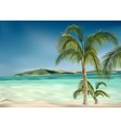 Beach and Palms vector image
