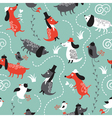 Pattern with dogs vector image