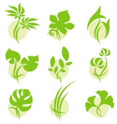Leaves vector image
