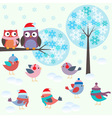 Birds and owls in winter forest vector image