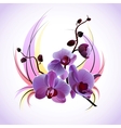 Greeting card with orchids vector image