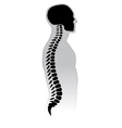 Human spine vector image