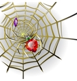 Jewelry spider on the gold web vector image