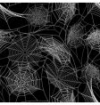 Spider web vector image