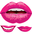 Pink lips vector image