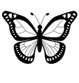 Butterfly vector image