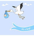 Baby boy announcement vector image