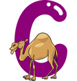 C for camel vector image
