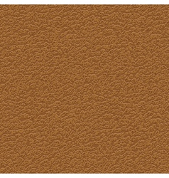 Leather vector image