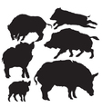 Wild boar silhouette vector image