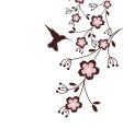 Spring cherry blossoms vector image