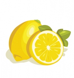 Lemon vector image