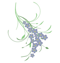 Forget me not flowers Royalty Free Vector Image