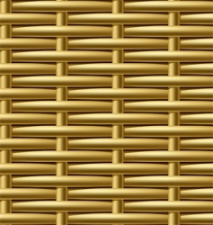 Wicker pattern vector image