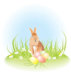 Easter rabbit vector image