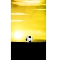 Football Grass Field vector image